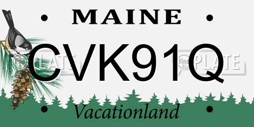 CVK91Q Maine License Plate