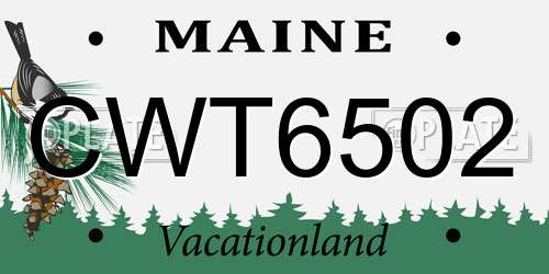 CWT6502 Maine License Plate