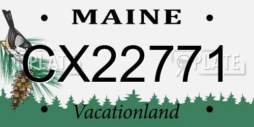 CX22771 Maine License Plate