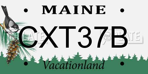 CXT37B Maine License Plate