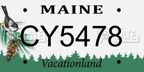 CY5478 Maine License Plate