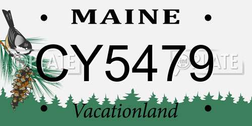 CY5479 Maine License Plate