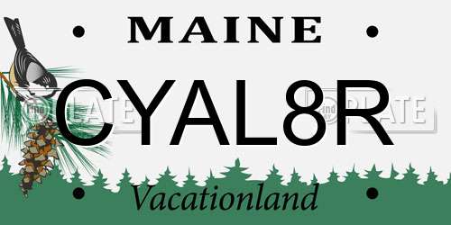 CYAL8R Maine License Plate