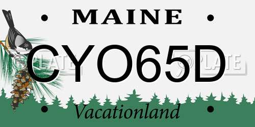 CYO65D Maine License Plate
