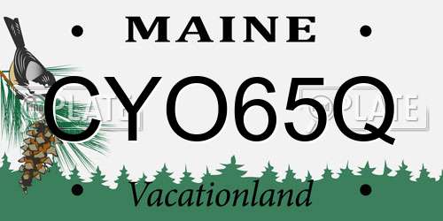 CYO65Q Maine License Plate