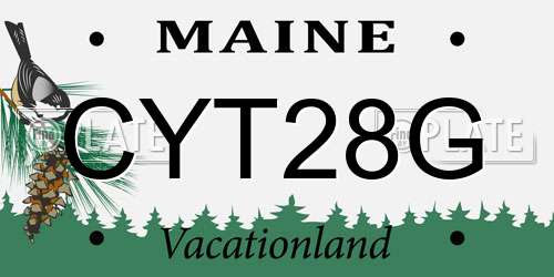 CYT28G Maine License Plate