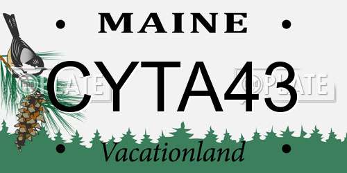 CYTA43 Maine License Plate