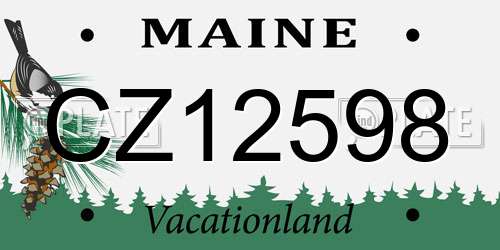 CZ12598 Maine License Plate