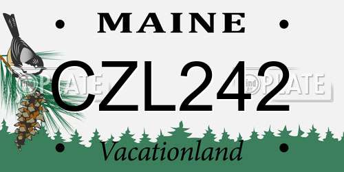 CZL242 Maine License Plate