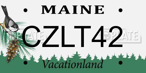 CZLT42 Maine License Plate
