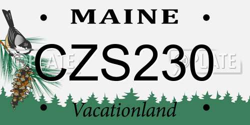 CZS230 Maine License Plate