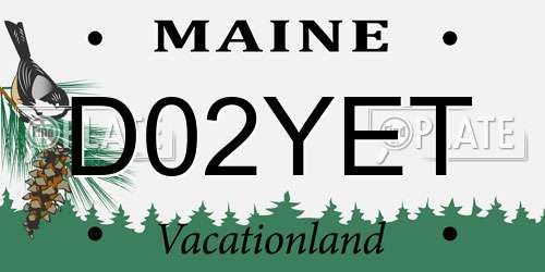 D02YET Maine License Plate