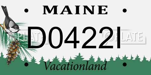 D0422I Maine License Plate