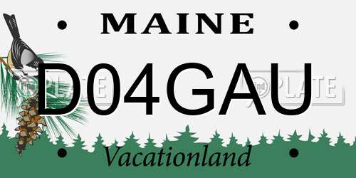 D04GAU Maine License Plate