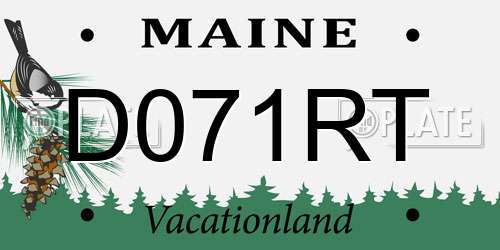 D071RT Maine License Plate