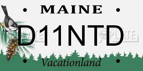D11NTD Maine License Plate