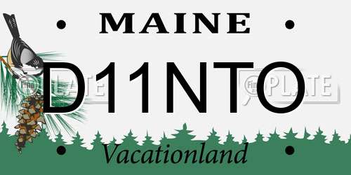 D11NTO Maine License Plate