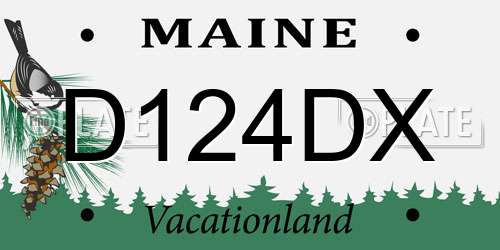D124DX Maine License Plate