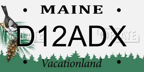 D12ADX Maine License Plate