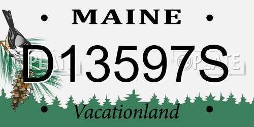 D13597S Maine License Plate