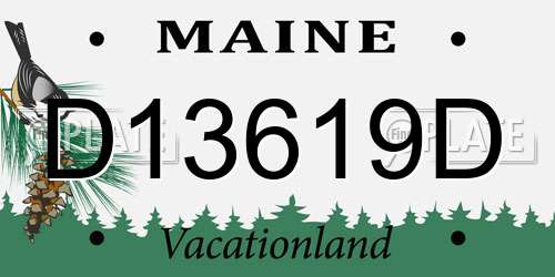 D13619D Maine License Plate