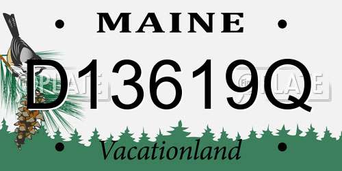 D13619Q Maine License Plate