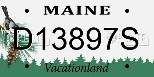 D13897S Maine License Plate