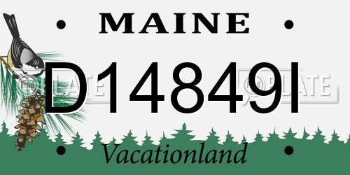 D14849I Maine License Plate