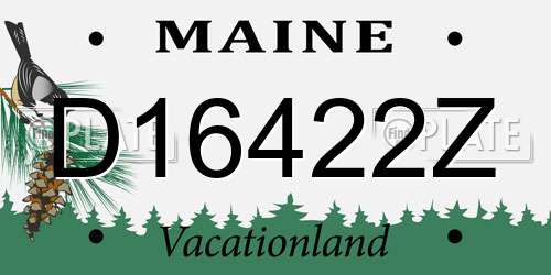 D16422Z Maine License Plate