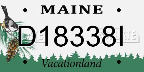 D18338I Maine License Plate
