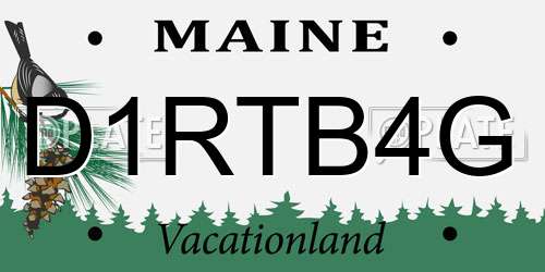 D1RTB4G Maine License Plate