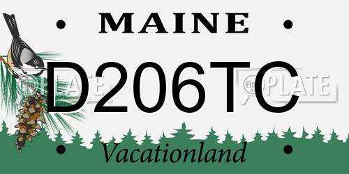 D206TC Maine License Plate