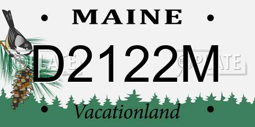 D2122M Maine License Plate
