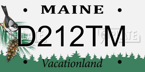 D212TM Maine License Plate
