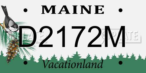 D2172M Maine License Plate