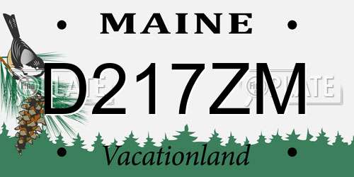 D217ZM Maine License Plate