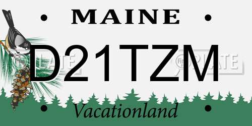 D21TZM Maine License Plate
