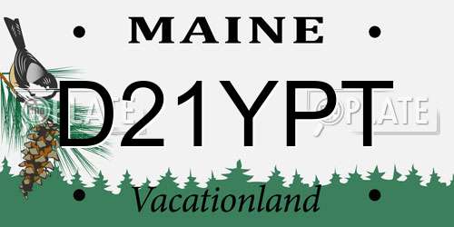 D21YPT Maine License Plate