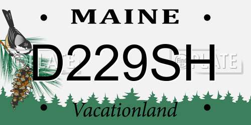 D229SH Maine License Plate