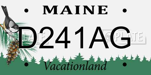 D241AG Maine License Plate