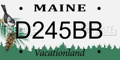 D245BB Maine License Plate