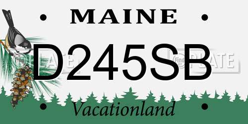 D245SB Maine License Plate