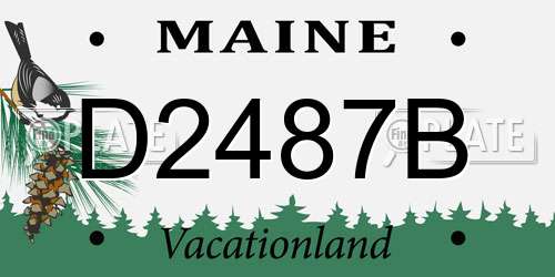 D2487B Maine License Plate