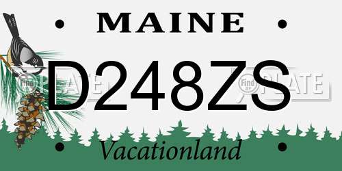 D248ZS Maine License Plate