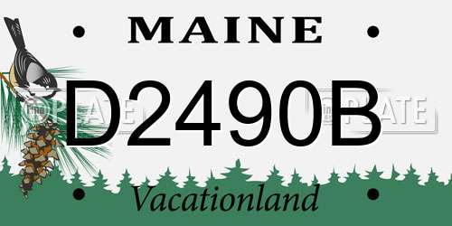 D2490B Maine License Plate