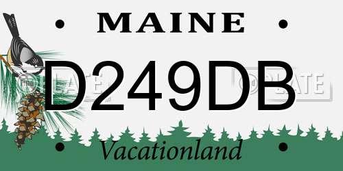 D249DB Maine License Plate