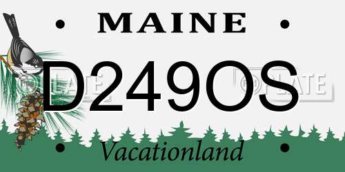D249OS Maine License Plate
