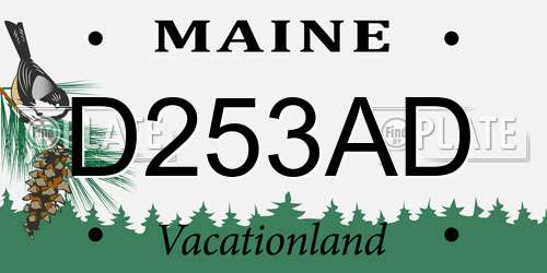 D253AD Maine License Plate
