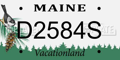 D2584S Maine License Plate