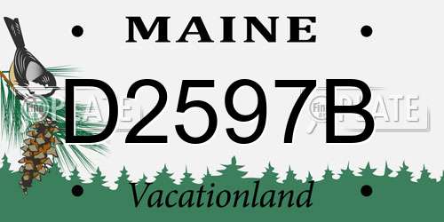 D2597B Maine License Plate